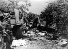 Falaise Pocket Polsih destroy German colunm